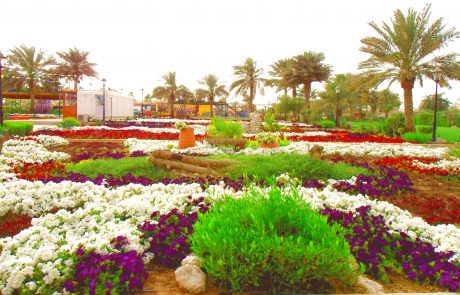 Al Wakrah Doha Qatar gardens
