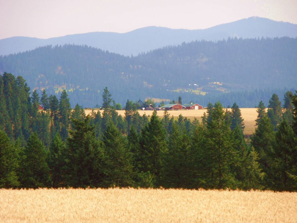 Greenbluff Peone Prairie Washington State