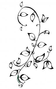 vines clipart