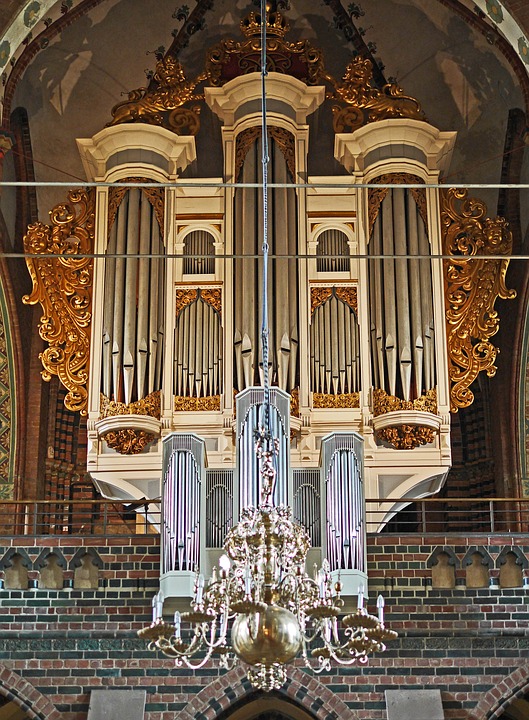 schleswig domorgel