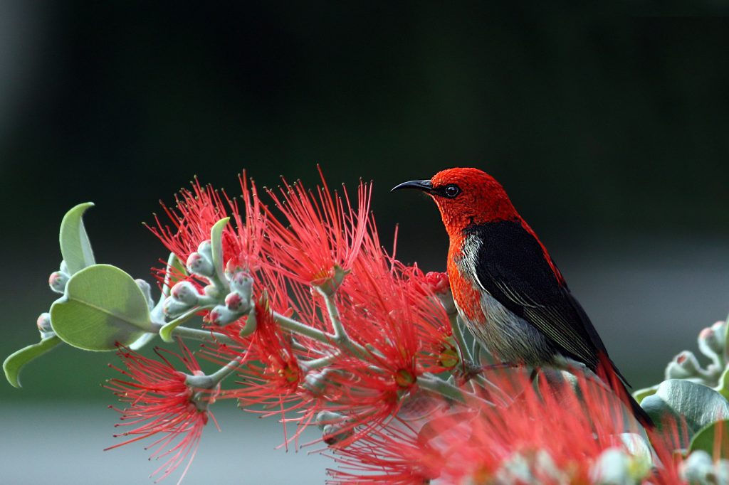 bird on branch