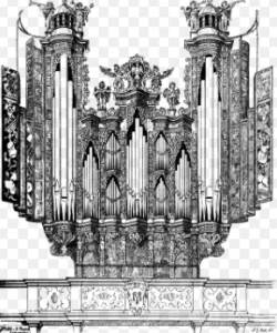 organ clipart