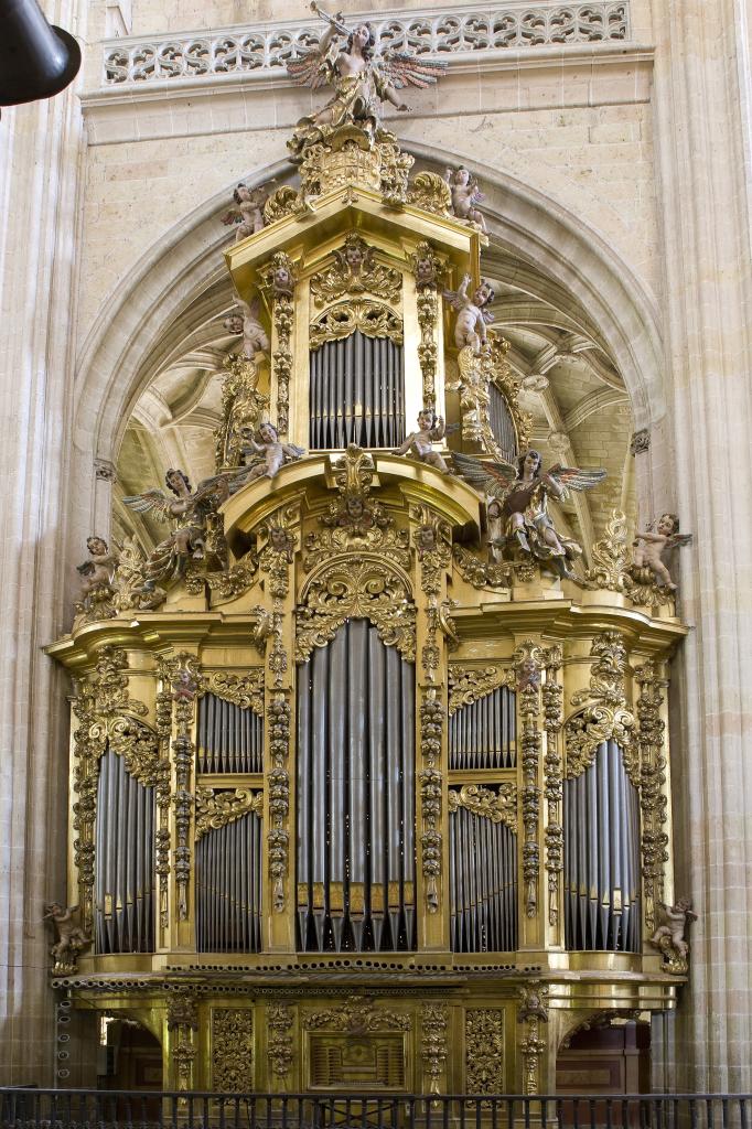 segovia organ