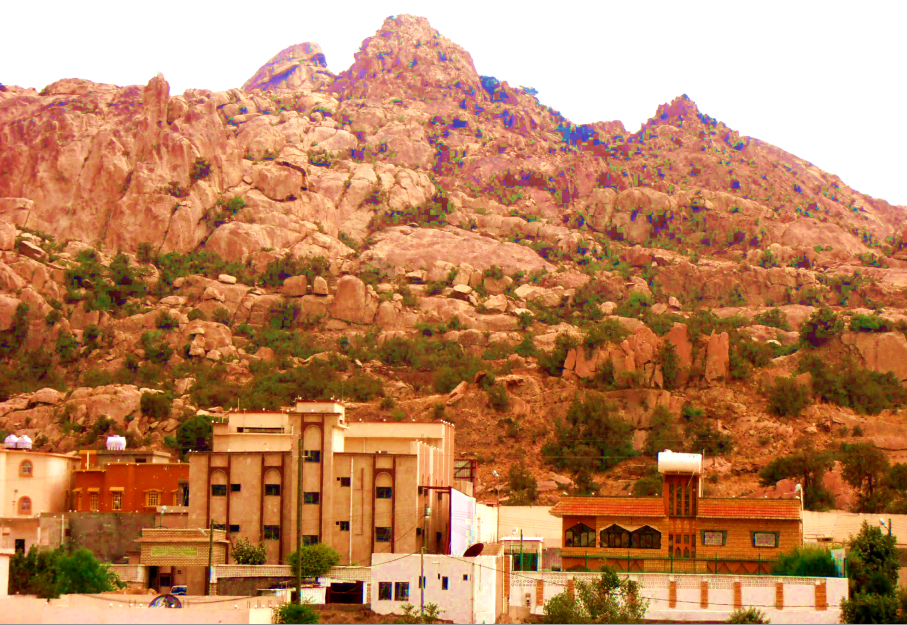 Tenomah Saudi Arabia view