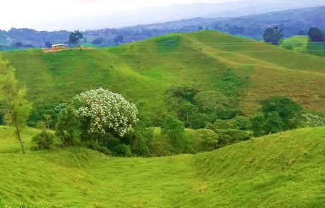 Landscape near Filandia, Colombia