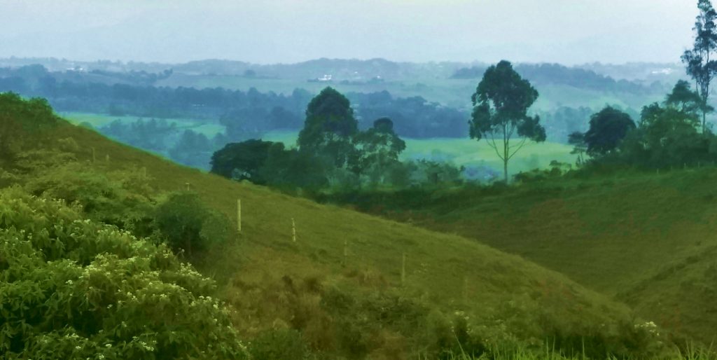 Filandia, Quindio landscape