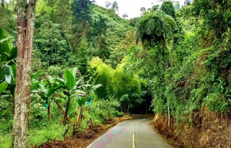 Road to Cordoba, Quindio, Colombia
