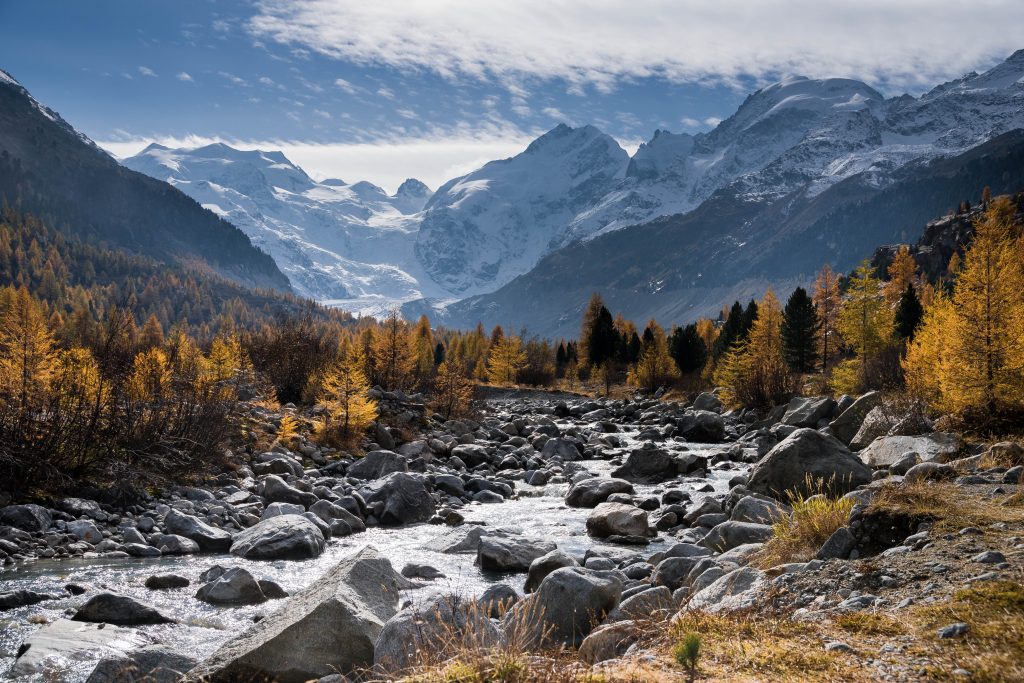 mountain forest