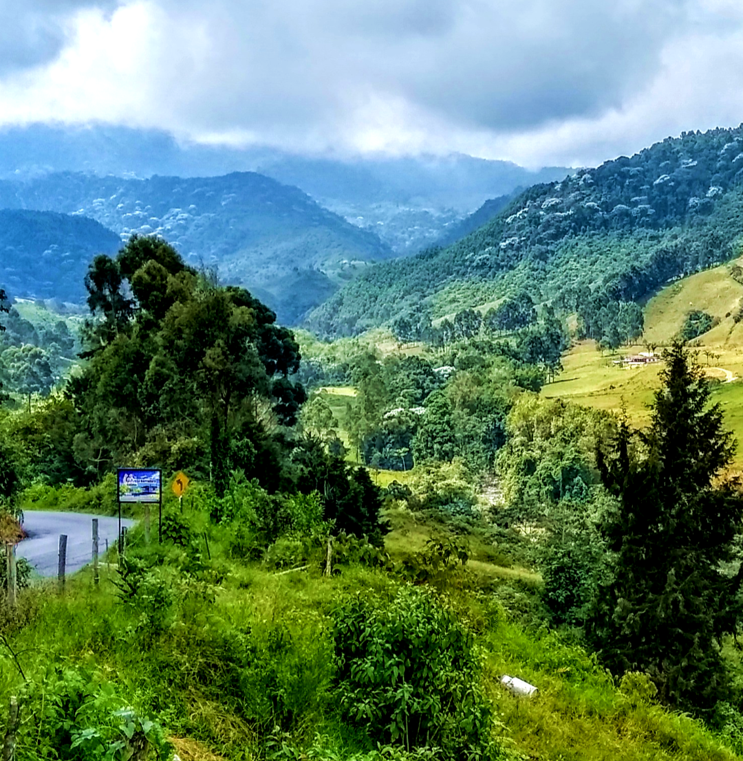 Near Santa Rosa de Cabal