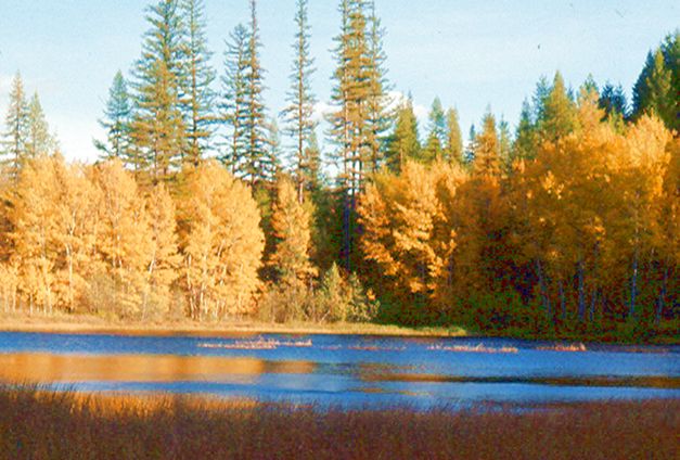 lake in fall