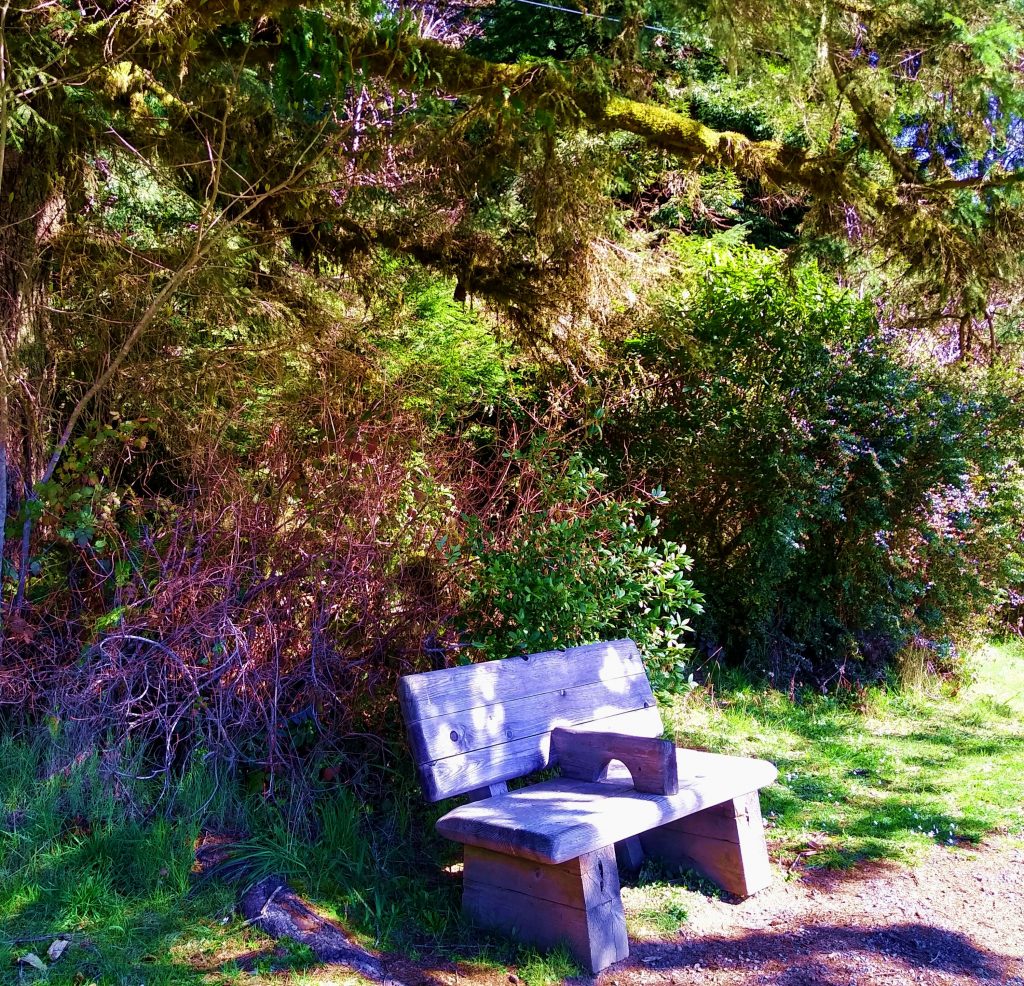 Prairie Creek Redwoods State Park