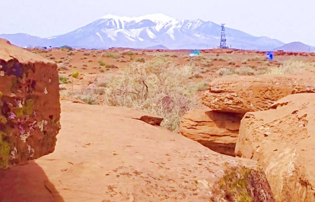 Near Meteor Crater, AZ