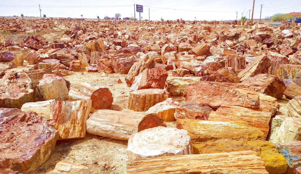 Jim Gray's Petrified Wood Co., Holbrook, AZ