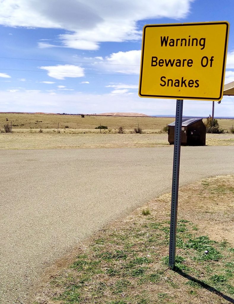 Snake warning on I-40 in NM