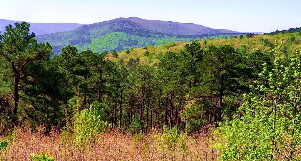 Ouachita National Forest landscape