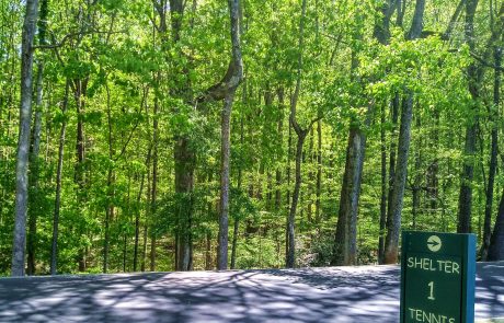 Forest, Tanglewood Park, Clemmons, NC
