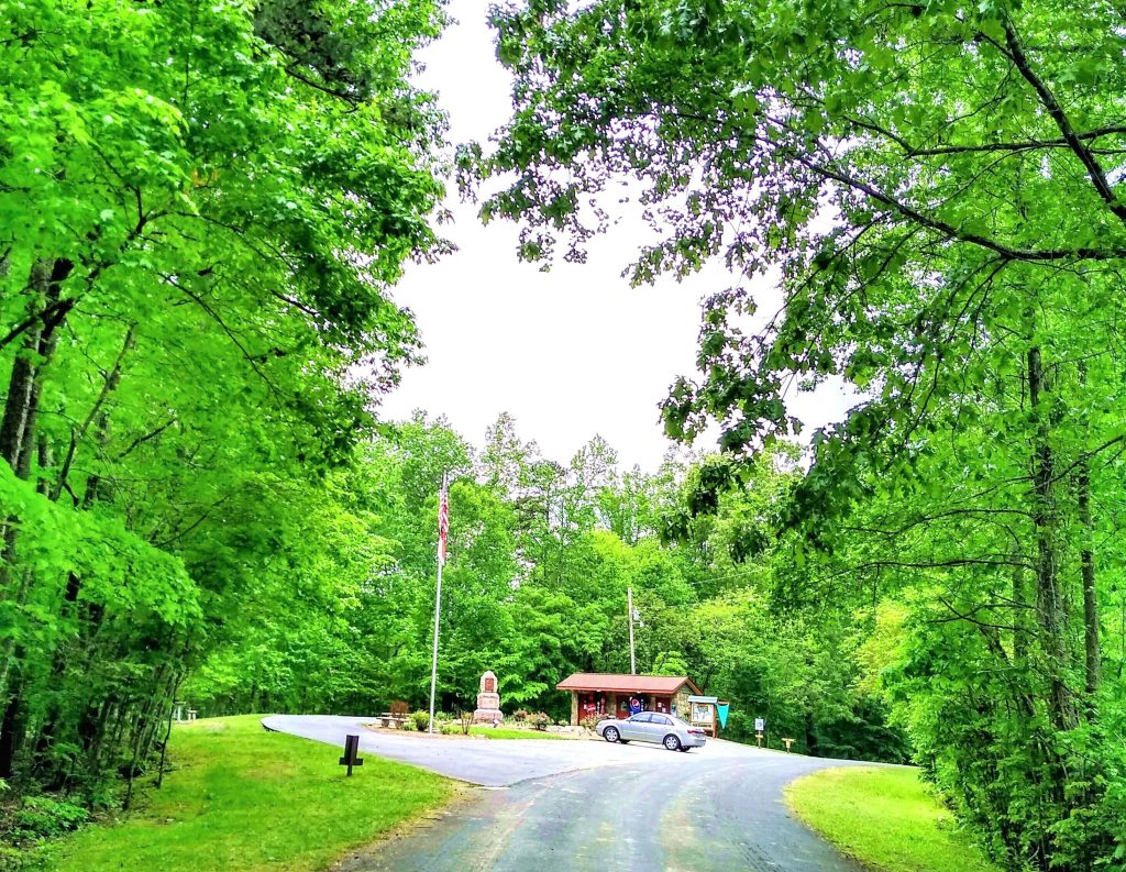 Boone's Cave Park forest view